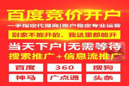 SEM营销推广案例分析：行业领跑者如何打造品牌